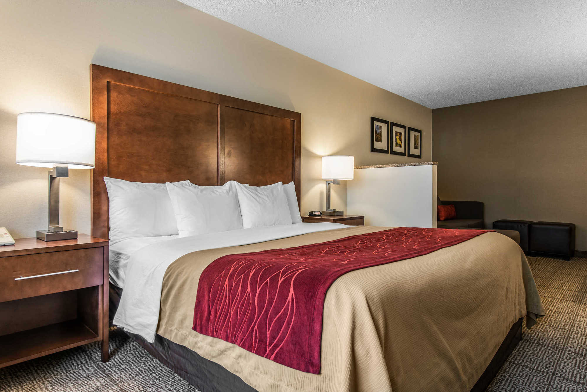 Comfort Inn Denver West Arvada Station Wheat Ridge Δωμάτιο φωτογραφία